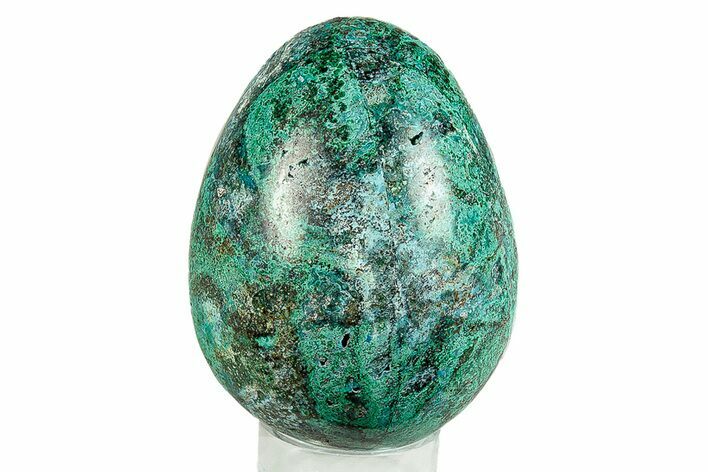 Polished Chrysocolla & Malachite Egg - Peru #255271
